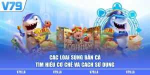 Các Loại Súng Bắn Cá | Tìm Hiểu Cơ Chế Và Cách Sử Dụng