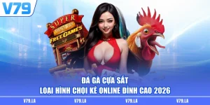 Đá Gà Cựa Sắt | Loại Hình Chọi Kê Online Đỉnh Cao 2026