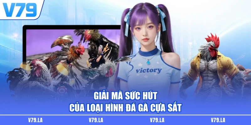 Giải mã sức hút của loại hình đá gà cựa sắt