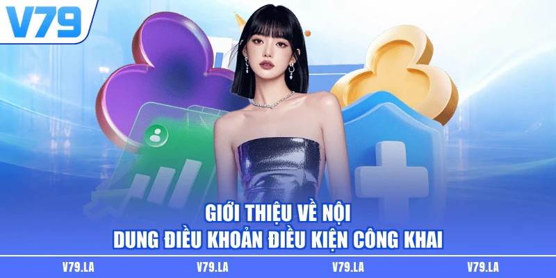 Giới thiệu về nội dung điều khoản điều kiện công khai